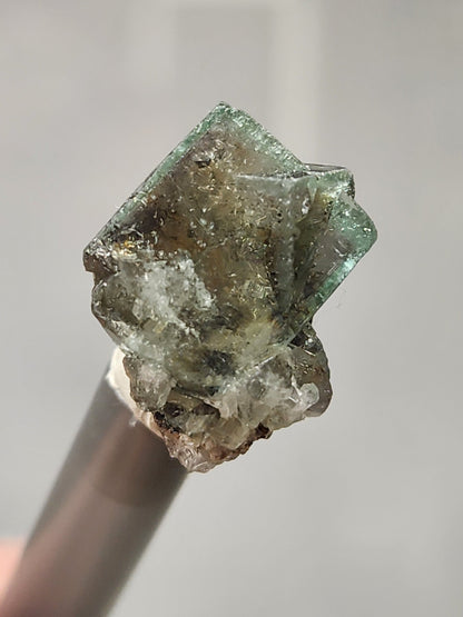 Fluorite- Naughty Gnome Pocket, Diana Maria Mine, Frosterley, Weardale, Co. Durham, England
