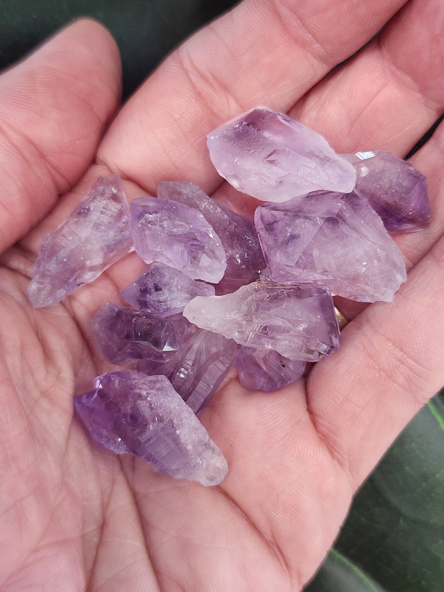 Amethyst Teeth