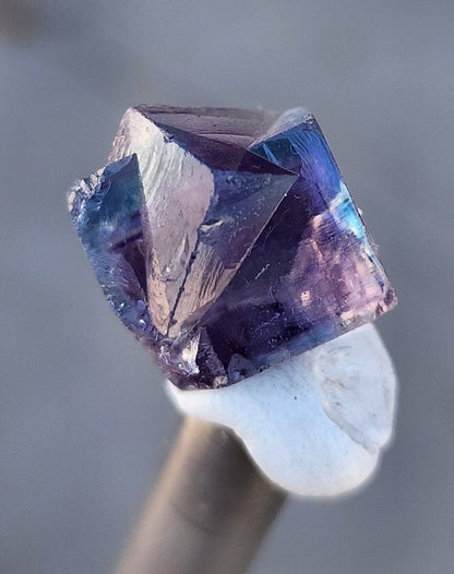 Fluorite- Hidden Forest Pocket, Diana Maria Mine, Frosterley, Weardale, Co. Durham, England