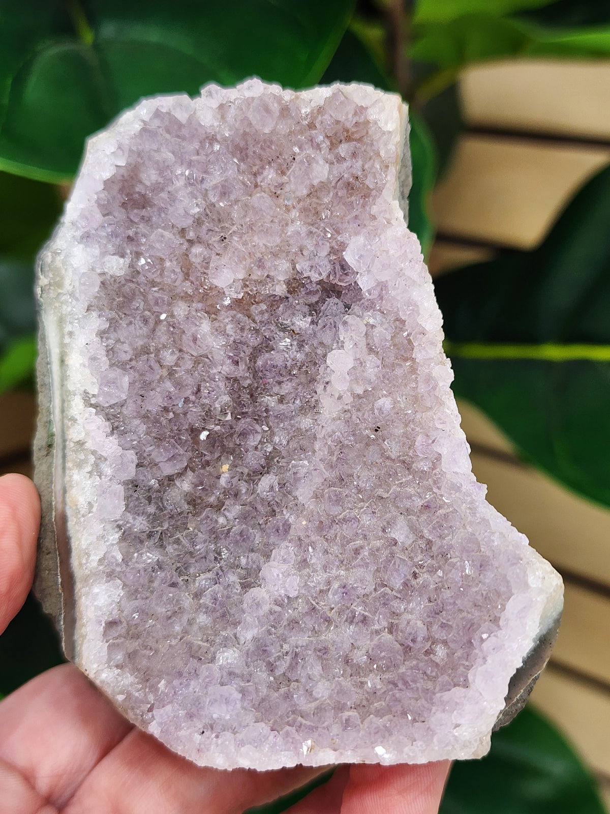 Amethyst Druzy Cut Base - 3.4 inches