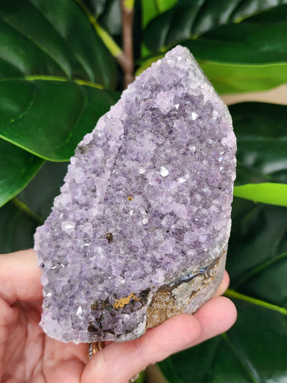 Amethyst Druzy Cut Base - 3.8 inches