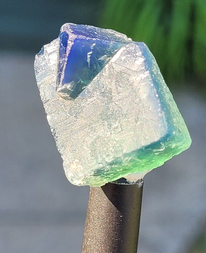 Fluorite- Pocket 42, Diana Maria Mine, Frosterley, Weardale, Co. Durham, England