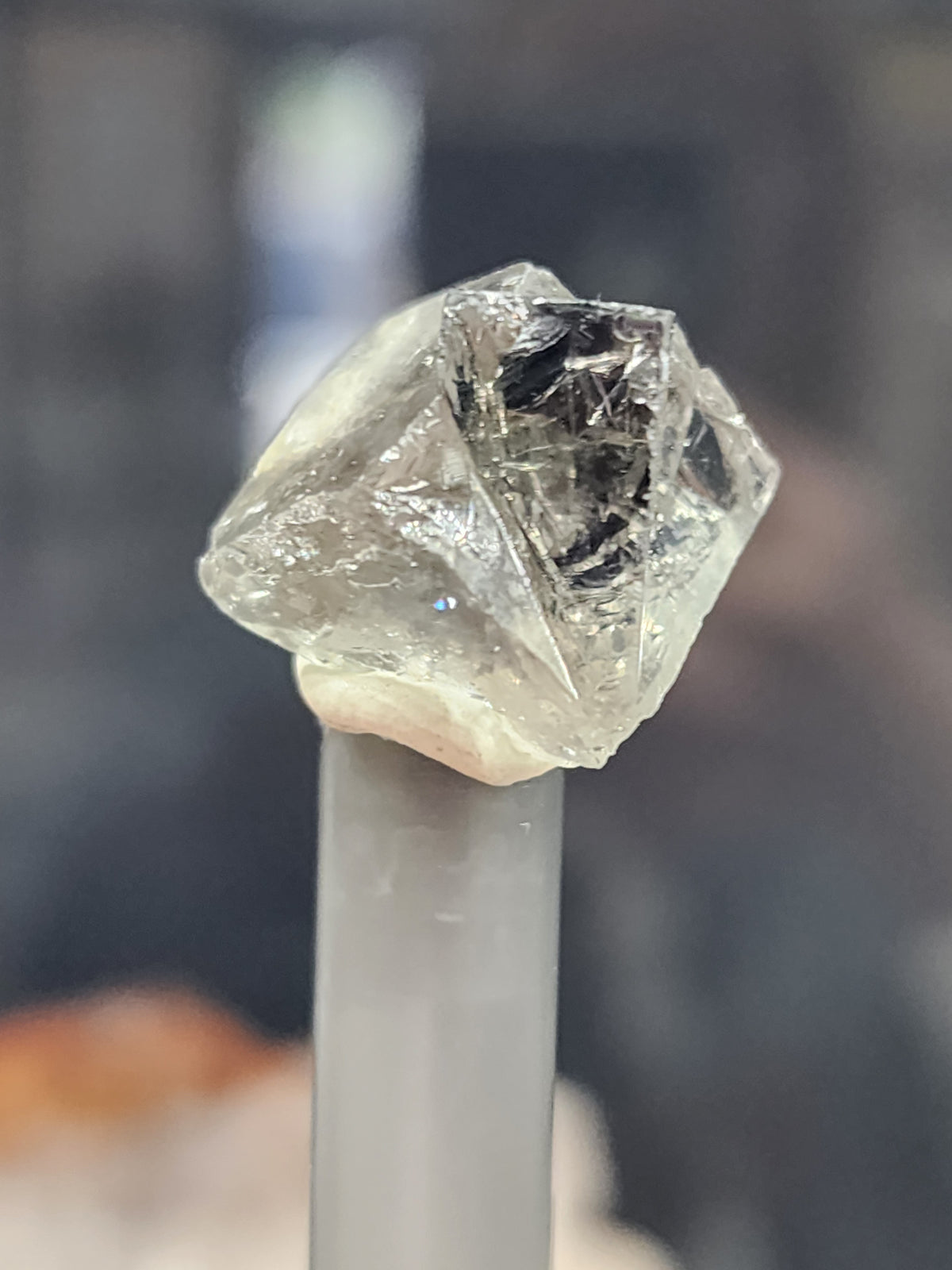 Fluorite- Diana Maria Mine, Frosterley, Weardale, Co. Durham, England