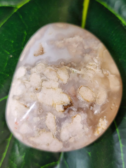 Flower Agate Palm Stone - 2.4"