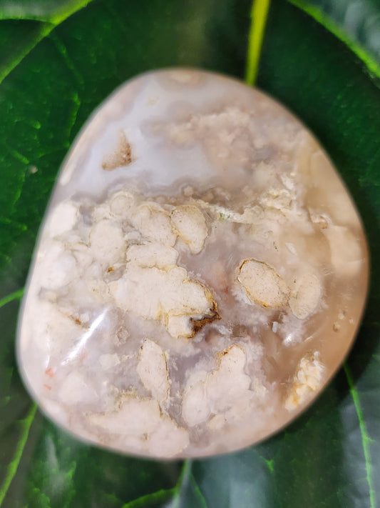 Flower Agate Palm Stone - 2.4"
