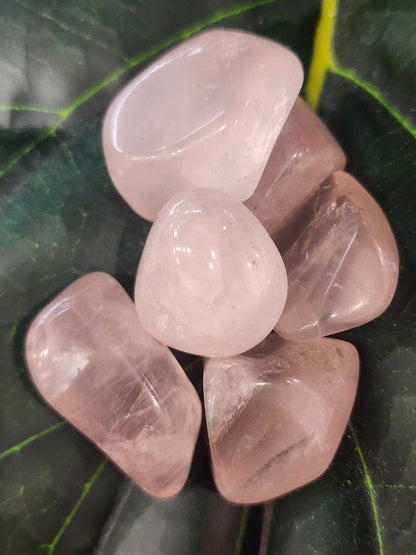 Rose Quartz Tumbles