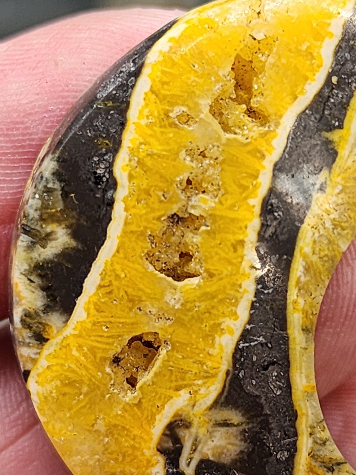 Bumblebee Jasper Moon Carving - 1.5"