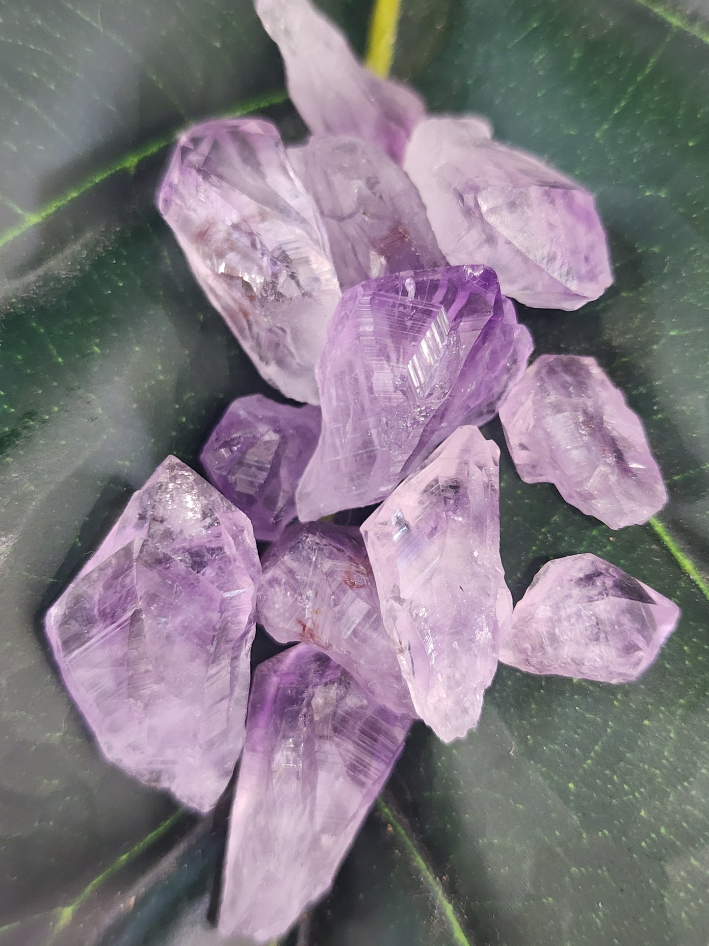 Amethyst Teeth
