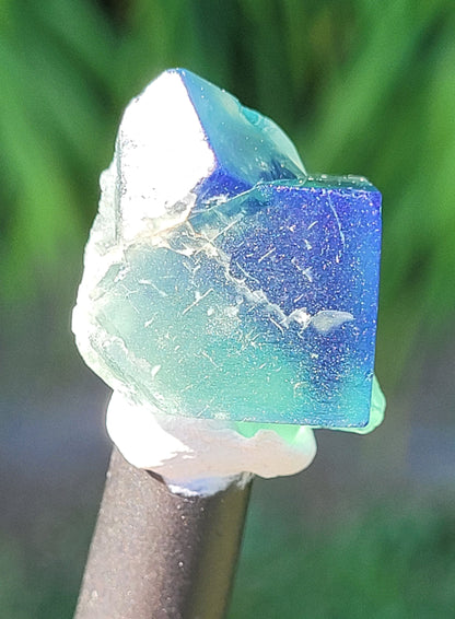 Fluorite- Pocket 42, Diana Maria Mine, Frosterley, Weardale, Co. Durham, England
