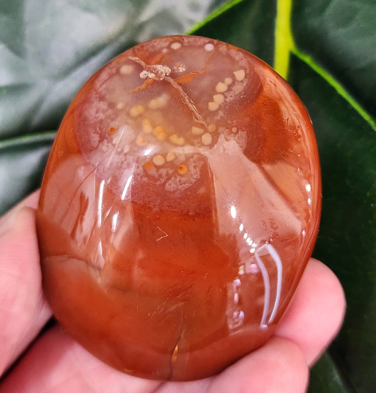 Druzy Carnelian Palm Stone
