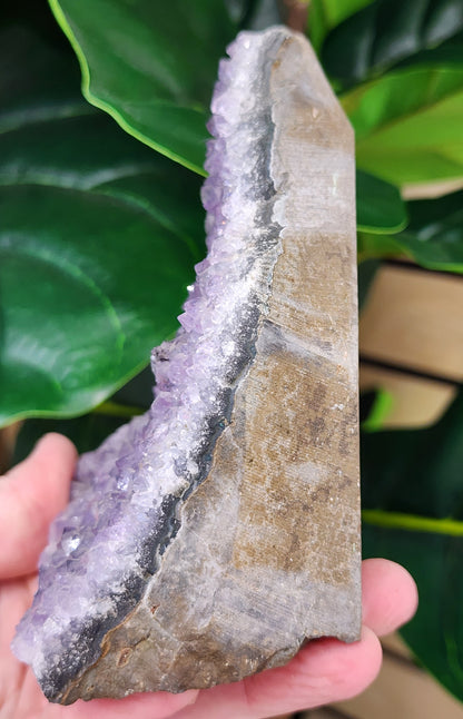 Amethyst Druzy Cut Base - 4.1 inches