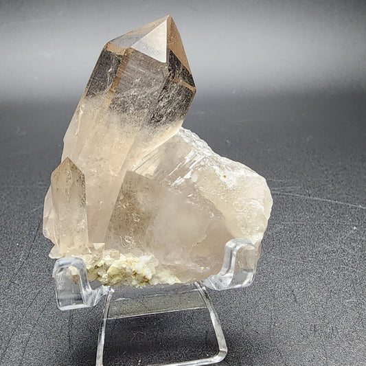 A Smoky Quartz from Mt. Blanc, Chamonix, France, by The Crystalary features two distinct terminated formations standing on a small transparent display stand. The quartz has a tint with light reflecting off its smooth, faceted surfaces, creating a shimmering effect against the plain, dark background.