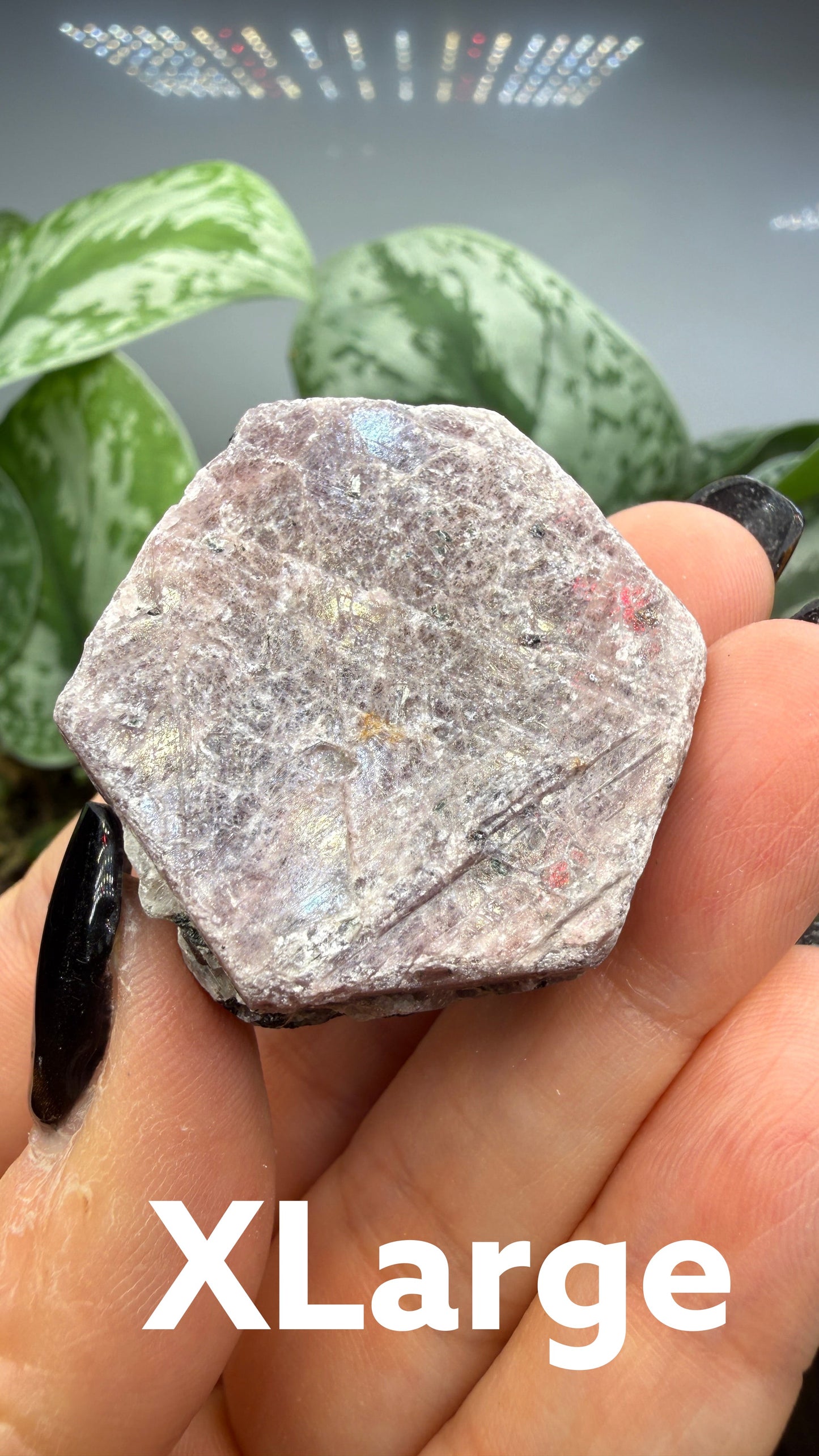 The Crystalary rough hexagonal corundum crystal in dusty rose and mauve tones held in a hand
