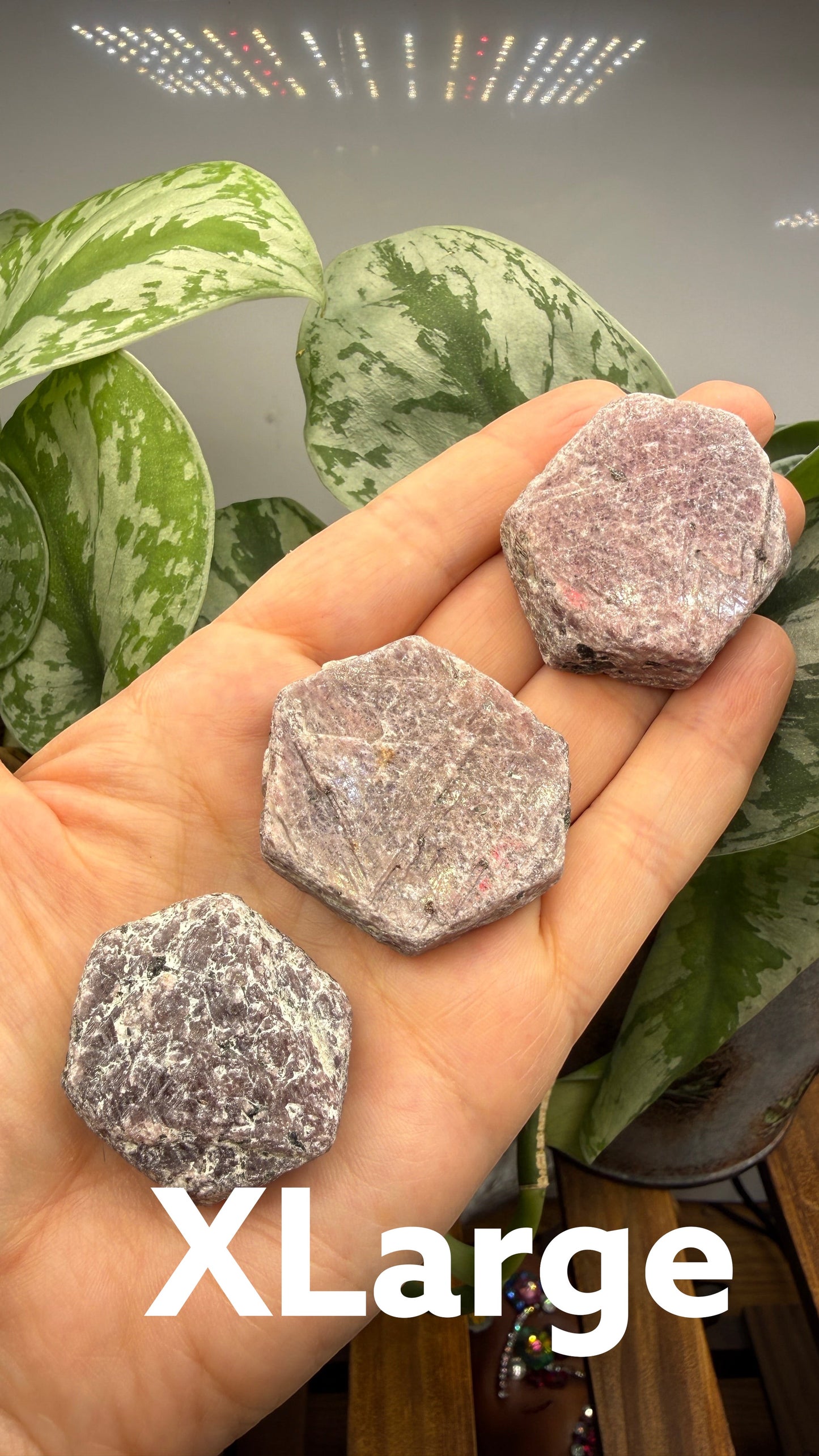 The Crystalary rough hexagonal corundum crystals in dusty rose and mauve tones held in a hand against a green plant.