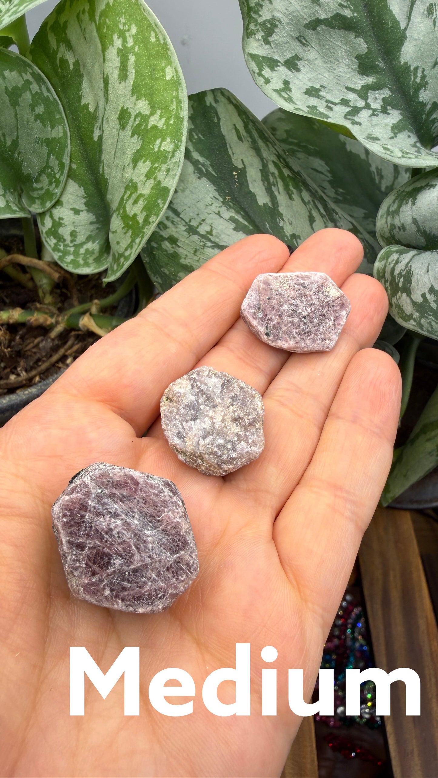 The Crystalary rough hexagonal corundum crystals in shades of mauve and purple held in a palm against green foliage.