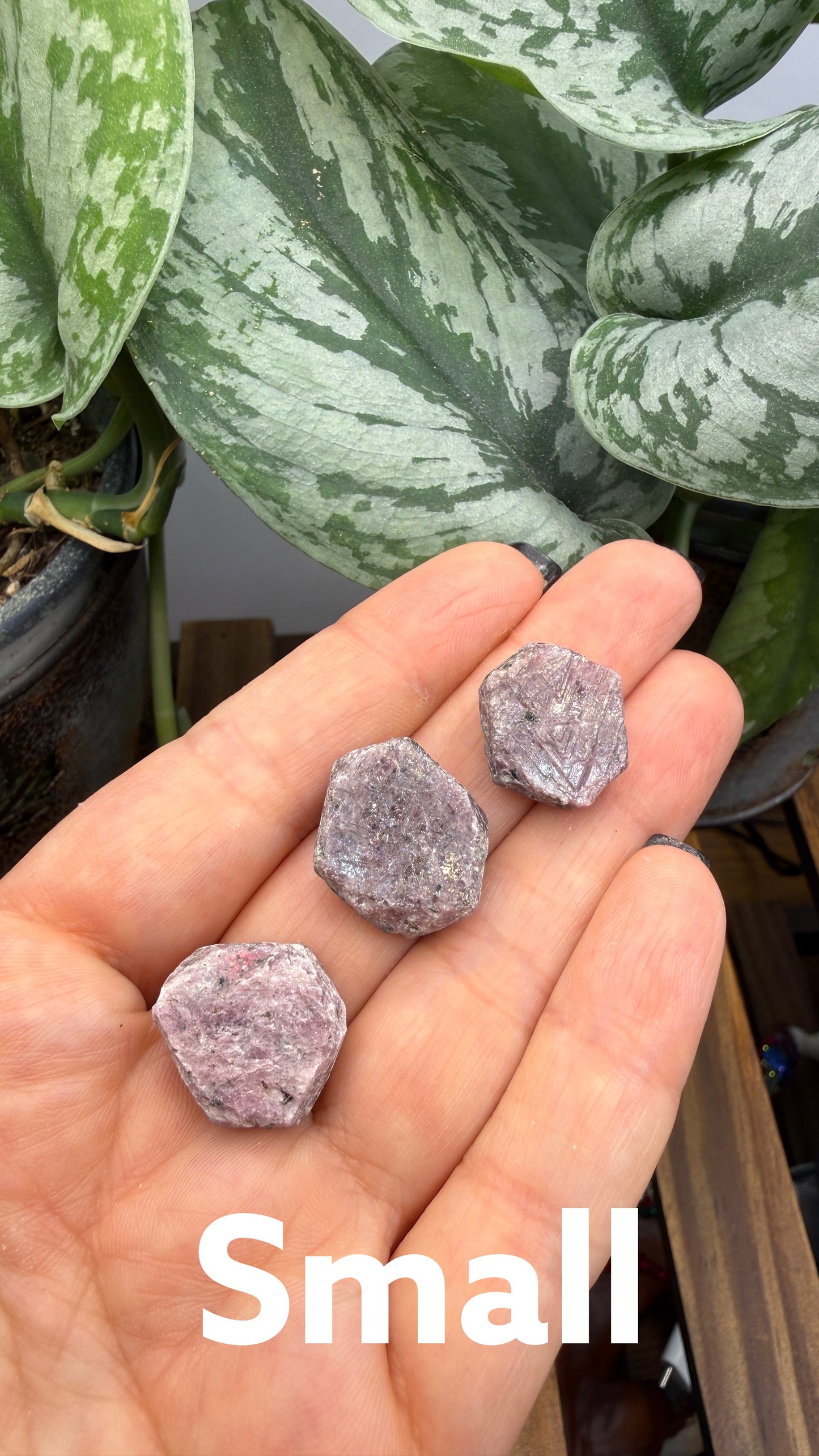 The Crystalary rough hexagonal corundum crystals in shades of mauve, pink, and lavender held in a person's palm.