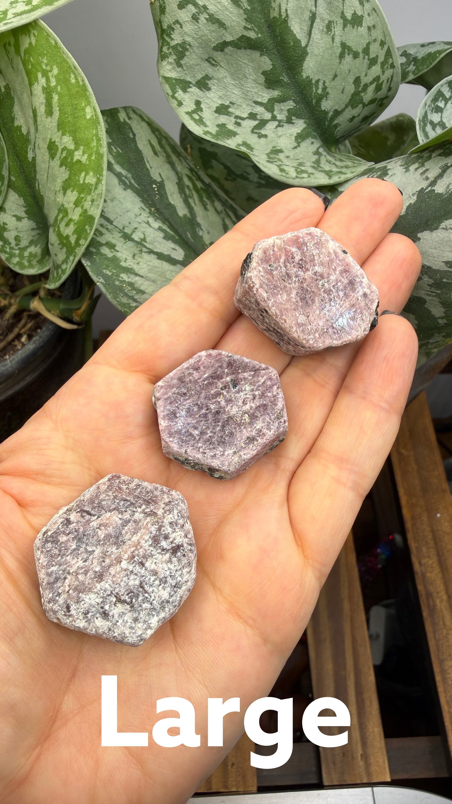 The Crystalary rough hexagonal corundum crystals in shades of dusty rose and mauve held in a person's palm.